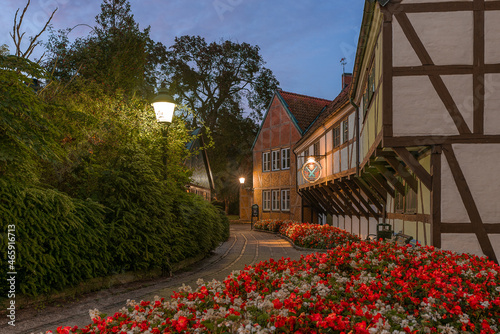 pavement filled with red flowers besida a half-timberd house in Ystad photo