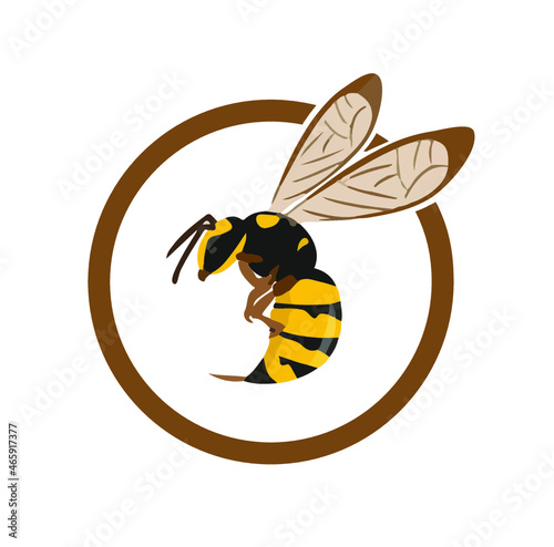 Wasp logo in a cicrle, circular logo, icon sting, Illustration with wasp ready to sting