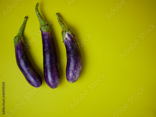 Eggplant or Solanum melongena isolated on a yellow background. for the concept of healthy food and vegetables