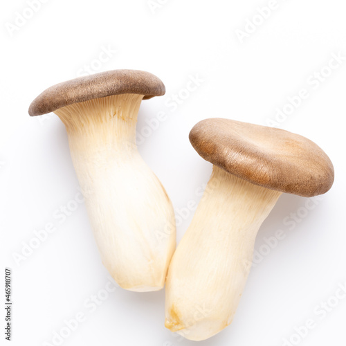 King oyster mushroom on white background.