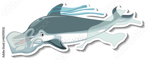 Dolphin stuck in plastic net on white background