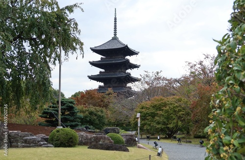 Temples and Shrines in Kyoto in Japan日本の京都にある神社仏閣 : the Five-story tower and the garden in the precincts of To-ji Temple 　東寺の境内にある庭と五重塔