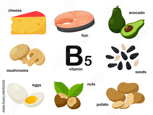 Rectangular poster with food products containing vitamin B5. Pantothenic acid. Medicine, diet, healthy eating, infographics. Products with the name.Flat cartoon food illustration isolated on white.