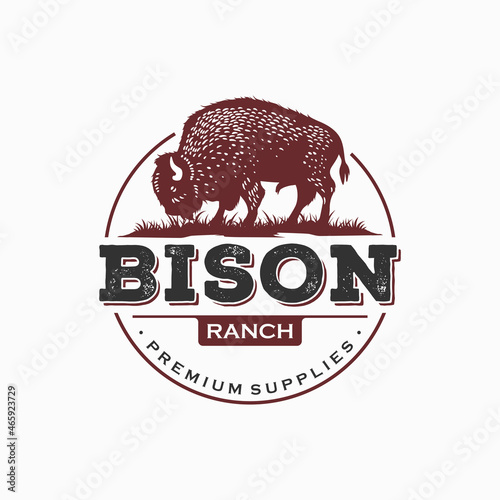 Bison Vintage Logo Design Vector