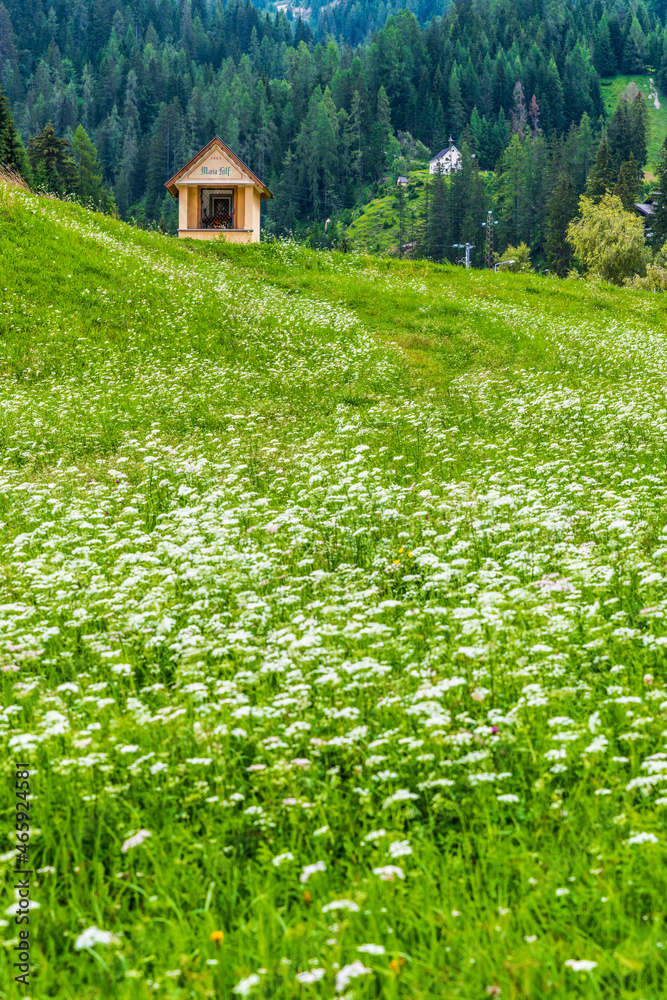 Summer mountain landscapes. Glimpses of poetry.