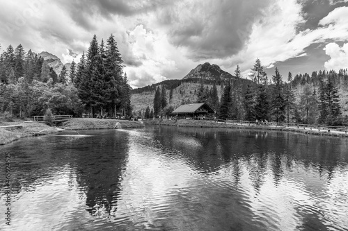 Summer mountain landscapes. Glimpses of poetry. Black and white.