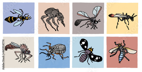 set of illustration of insects color
