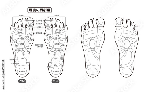 足裏の反射区・足つぼ　モノクロ図解イラスト