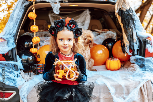 little girl in spooky costume and hat with bucket of sweets and cute poodle dog in ghost costume sits in trunk car decorated for Halloween with web, orange balloons and pumpkins, outdoor creative