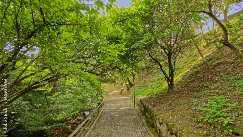 Flying towards a forest park with trees and abundant green plants in Melgaço, Portugal. Flying towards a forest park with trees and abundant green plants in Melgaço, Portugal.