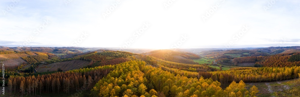 an autumn forest landscape panorama with a white sky background