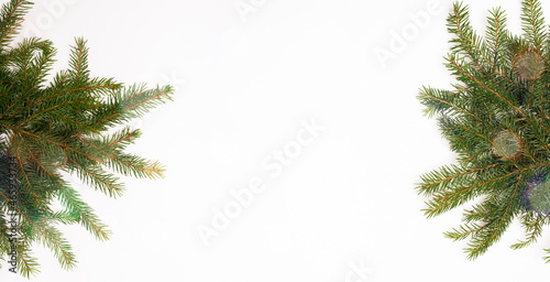 christmas tree branches on the white