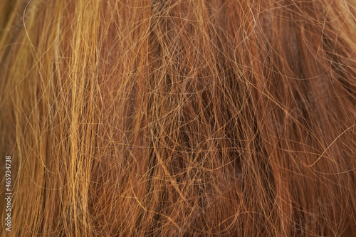 Long brown tangled hair. Background.