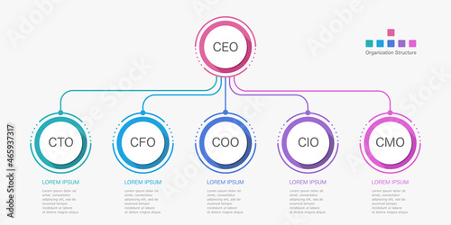 Infographic organization structure executive positions business