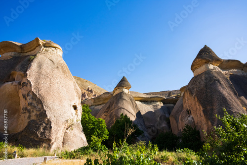 Fairy Chimneys or Peri Bacalari in Pasabagi Open Air Museum in Cappadocia. Tourism in Turkey. Landmarks and natural beauties of Turkey.  photo