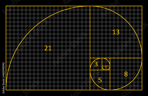 Golden Ratio Fibonacci. A spiral for harmony, composition, logos and designs. Correct proportions.