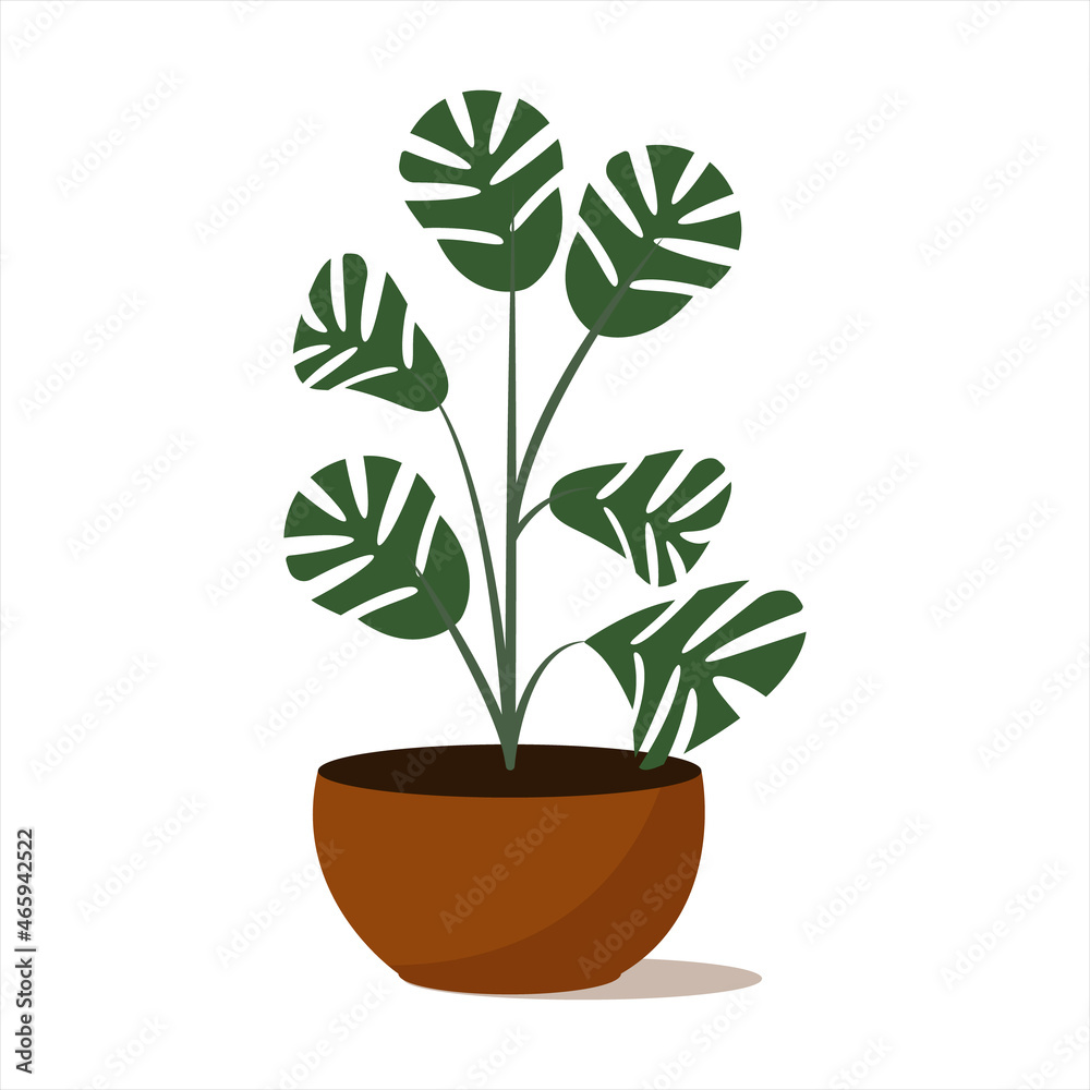 Monstera in a flower pot. Houseplant.
Plant for home and office. Flat style isolated on white background. Monstera in a flower pot. Houseplant.
Plant for home and office. Flat style isolated on white background.
