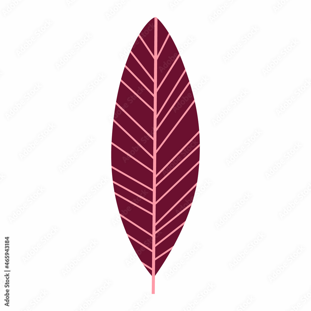 stylized autumn leaf, flat design, isolated on white stylized autumn leaf, flat design, isolated on white