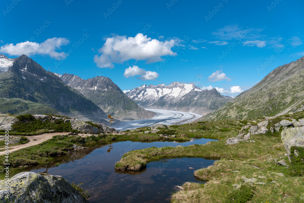 Landscape near Riederalp with Aletsch Glacier