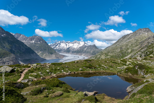 Fototapeta Naklejka Na Ścianę i Meble -  Landscape with Bettmerhorn and Aletsch Glacier