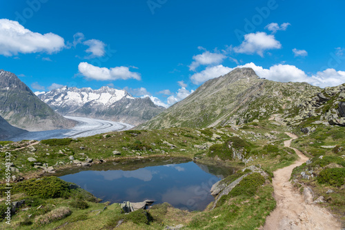 Fototapeta Naklejka Na Ścianę i Meble -  Landscape with Bettmerhorn and Aletsch Glacier