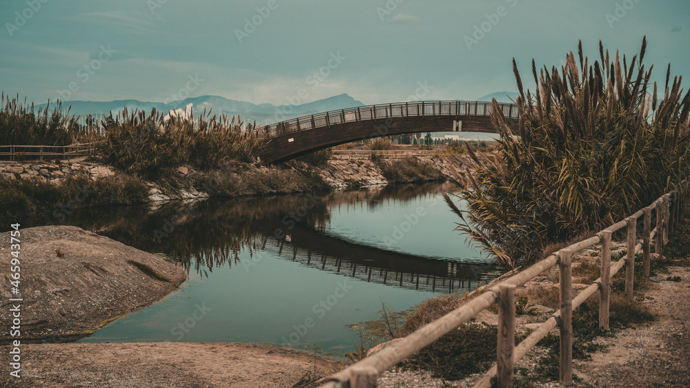 Puente reflejo horizontal