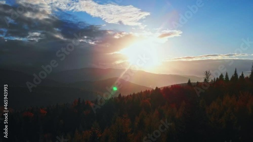 Cinematic movement - tilt up. Beatiful and smooth fly  above autumn forest in stunning beauty sunset.	