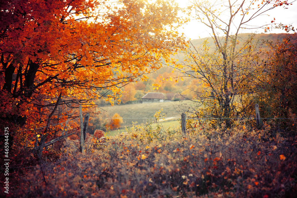 Beautiful autumn landscape in Transylvania Beautiful autumn landscape in Transylvania