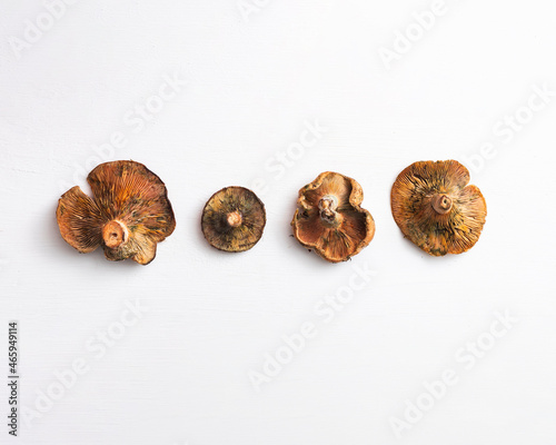 Lactarius deliciosus, también conocidos como níscalos o rovellones, entre otros nombres. Mostrados por su parte de atrás. Son una pequeña delicia que puedes encontrar en otoño. photo