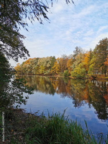 Fototapeta Naklejka Na Ścianę i Meble -  Autumn in the park. Trees with yellowing leaves grow around the pond and are reflected in its water.