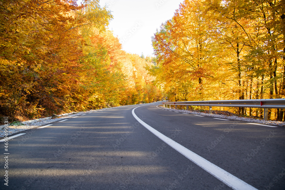 Fototapeta premium A colourful curving autumn road