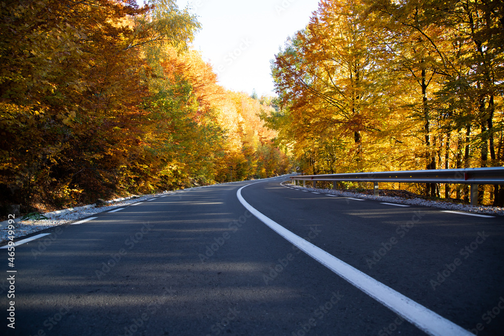 A colourful curving autumn road