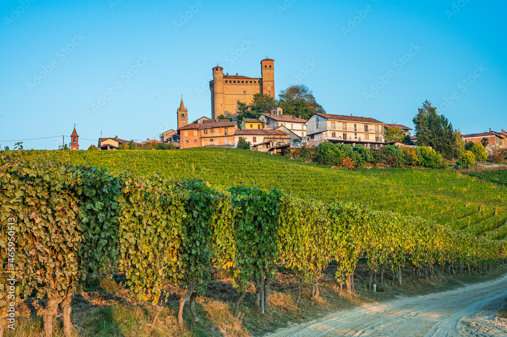 The castle of Serralunga d Alba