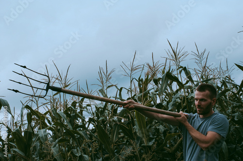 A young farmer in denim overalls with a pitchfork in a cornfield in the summer. Farmer with a pitchfork