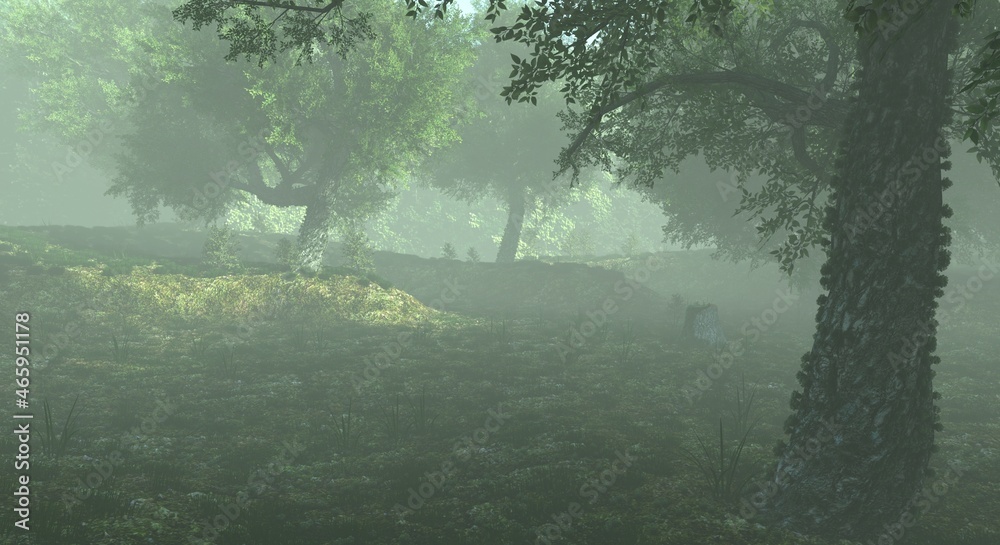 Foggy misty forest haze landscape 3d illustration Foggy misty forest haze landscape 3d illustration