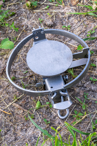 metal veiled trap , masked in green grass , hunting snare device for catching beasts close up