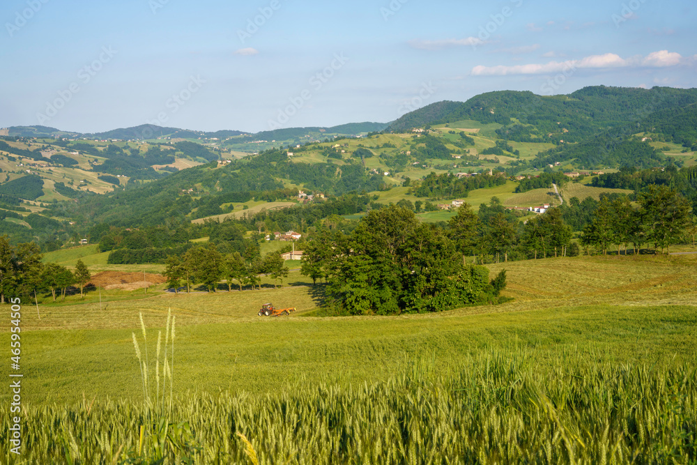 Rural landscape along the road from Gombola to Polinago, Emilia-Romagna.