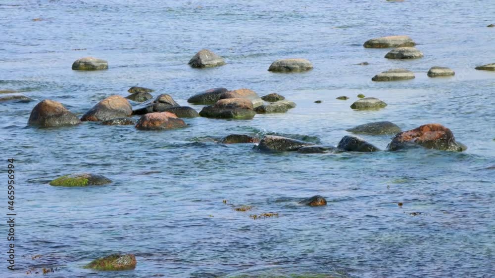 Static view of small sea waves washing over rocks and seaweed Static view of small sea waves washing over rocks and seaweed