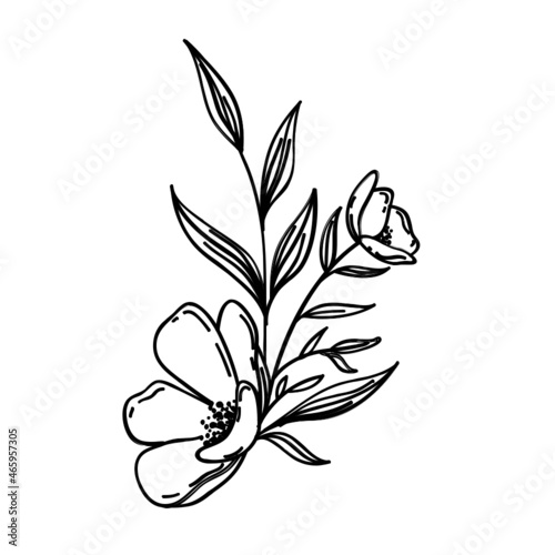 Pflanze Blume
