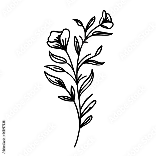 Pflanze Blume