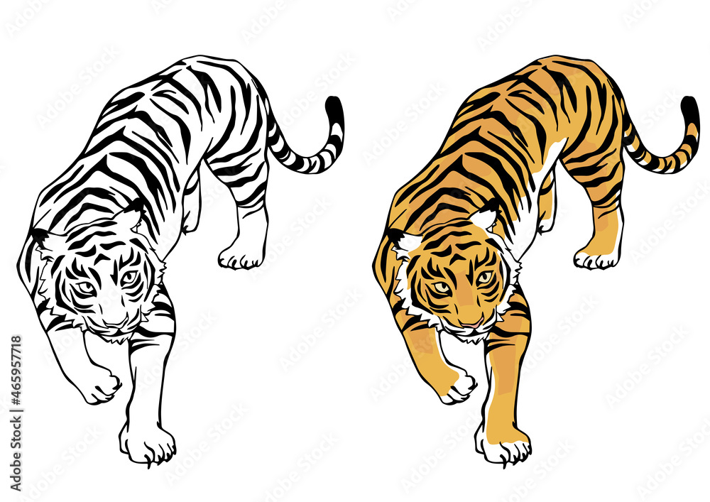 Obraz premium 2022年 寅年 年賀状 虎 トラ 令和四年