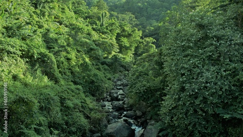 lake in the forest