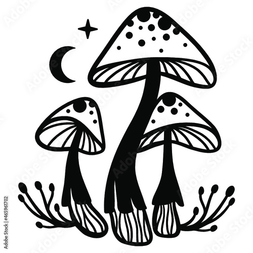 Mystical mushrooms isolated clipart, magic line celestial mushrooms, floral mystical. Black and white vector illustration.
