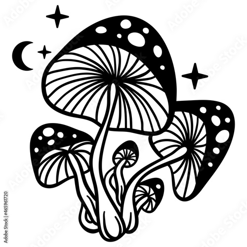 Mystical mushrooms isolated clipart, magic line celestial mushrooms, floral mystical. Black and white vector illustration.