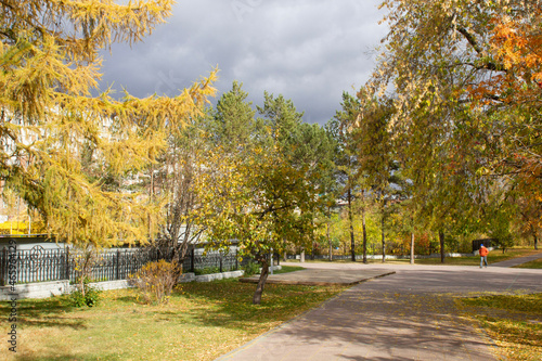 autumn in the park