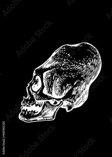 Graphical Mayan skull isolated on black, long skull of ancient tribe, vector illustration, halloween element.Paleontology 