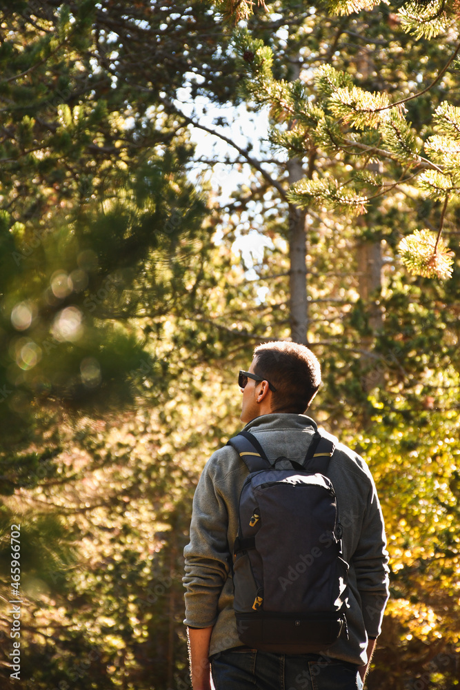 Male backpacker walking through a wooden forest, back view, warm natural light. Male backpacker walking through a wooden forest, back view, warm natural light.