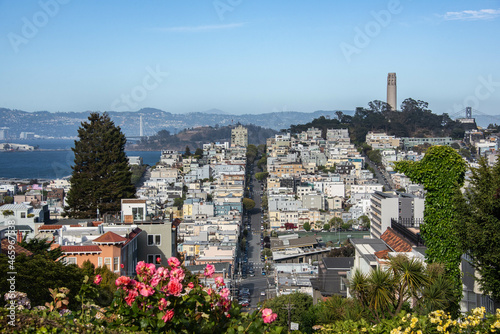 Lombard Street, San Francisco, California, U. S. A. photo