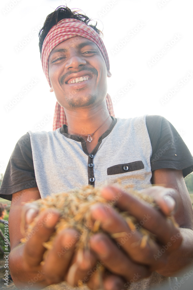 Indian Farmer Holding rice grain