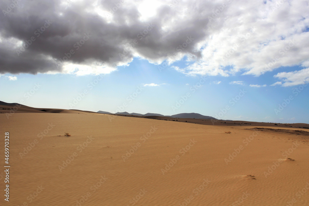 Desert and semi-desert of the Canary islands. Fuerteventura island, Spain